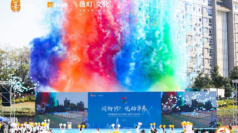 VI设计全套解析：LOGO设计是其中一环